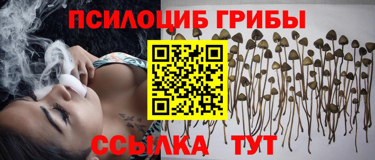 Псилоцибиновые грибы Magic Shrooms Новоалтайск